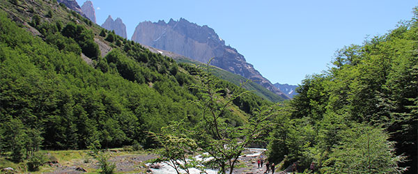 Paisagem que se vê no Refúgio El Chileno - Circuito W, Torres del Paine, Chile - Foto: Amandina Morbeck.