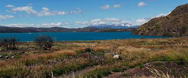 Lago Pehoé na manhã de sol - Circuito W, Torres del Paine, Chile - Foto: Amandina Morbeck.