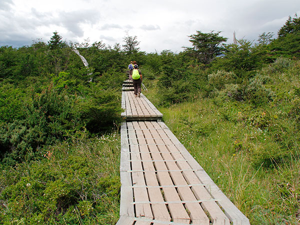 Vários trechos da trilha são cobertos por passarelas como essa - Circuito W, Torres del Paine, Chile - Foto: Amandina Morbeck.
