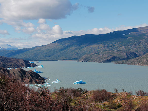 Blocos de gelo que caem da geleira, boiando no Lago Grey - Circuito W, Torres del Paine, Chile - Foto: Amandina Morbeck.