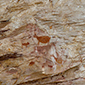 Sítio Arqueológico da Pedra Pintada, Cocais, Minas Gerais - www.viajandocomaman.com.br - Foto: Amandina Morbeck.