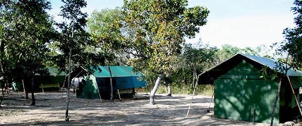 Acampamento no Jalapão - Foto: Amandina Morbeck.