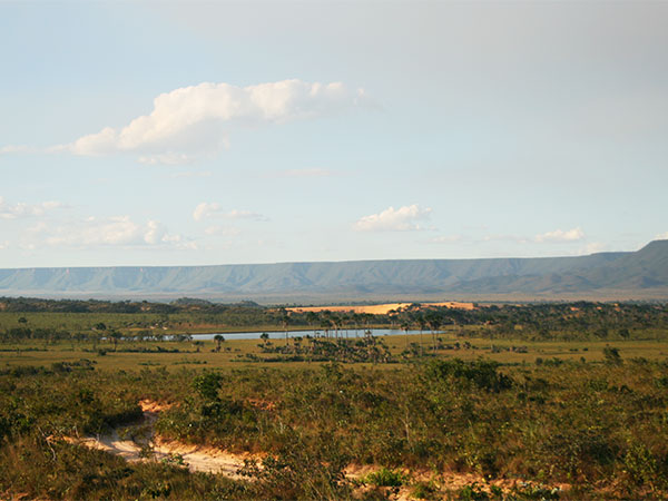 As dunas do Jalapão a distância, com o paredão da Serra do Espírito Santo ao fundo - Foto: Amandina Morbeck.