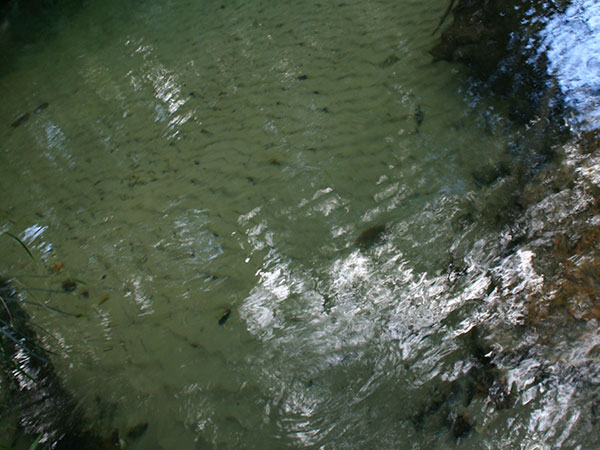 Veja como essa água é cristalina - Cachoeira do Formiga, Jalapão - Foto: Amandina Morbeck.