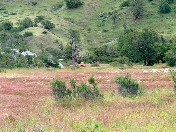 A área de camping fica um pouco afastada do refúgio - Circuito W, Torres del Paine, Chile - Foto: Amandina Morbeck.