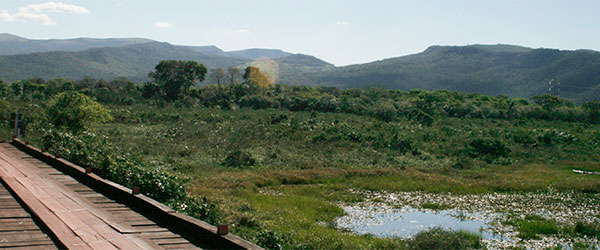 Estrada-parque Pantanal MS - Foto: Amandina Morbeck.