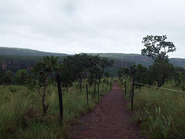 Parte da trilha que leva à Cachoeira Véu da Noiva na Chapada dos Guimarães - Foto: Amandina Morbeck.