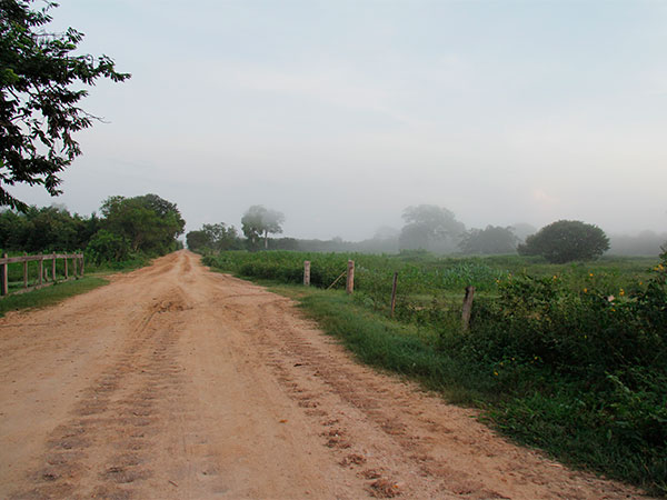 A Transpantaneira é plana e quase uma linha reta - www.viajandocomaman.com.br - Foto: Amandina Morbeck.