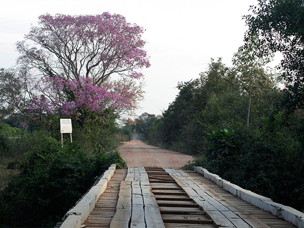 Uma das 122 pontes de A Transpantaneira - www.viajandocomaman.com.br - Foto: Amandina Morbeck.