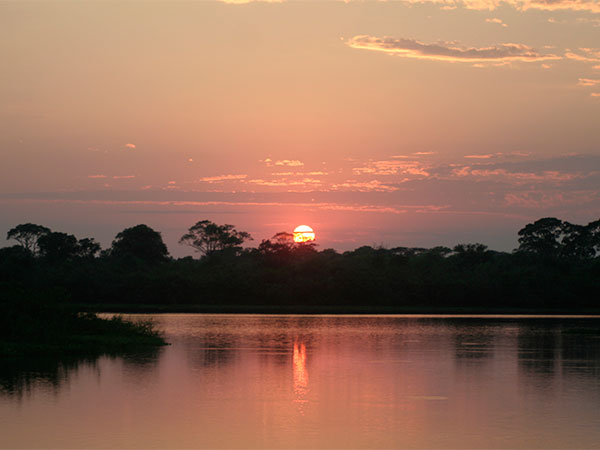 Ver e ouvir a alvorada pantaneira não tem preço - Pantanal Mato-grossense - www.viajandocomaman.com.br - Foto: Amandina Morbeck.