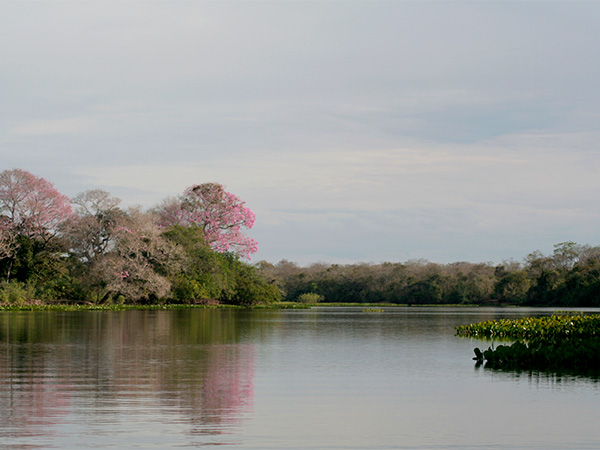 Rio Claro, onde fiz dois passeios de barco - Pantanal Mato-grossense - www.viajandocomaman.com.br - Foto: Amandina Morbeck.