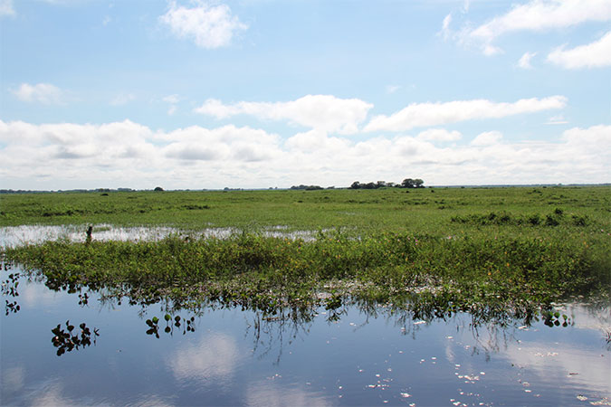 Paisagem do Pantanal Mato-grossense na época das chuvas - www.viajandocomaman.com.br Foto: Amandina Morbeck.