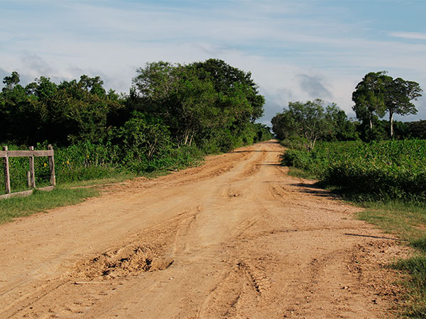 Transpantaneira em frente ao lodge - Pantanal Mato-grossense na cheia - www.viajandocomaman.com.br - Foto: Amandina Morbeck.
