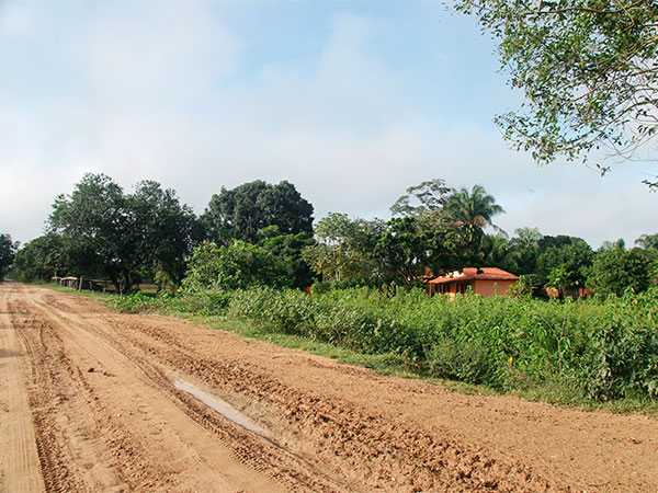 Transpantaneira após uma noite de chuva - Explorando a Transpantaneira entre os kms 100 e 130 - www.viajandocomaman.com.br - Foto: Amandina Morbeck.