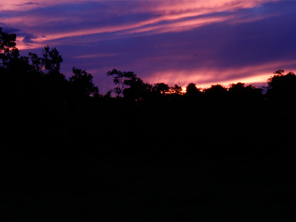 Amanhecer no Pantanal - Explorando a Transpantaneira - www.viajandocomaman.com.br - Foto: Amandina Morbeck.