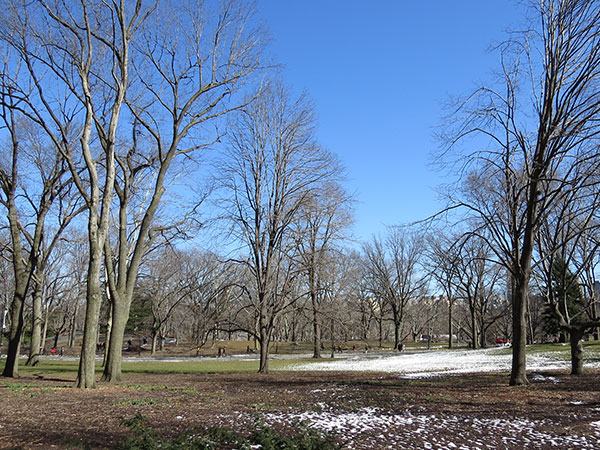 Central Park no fim do inverno - 3 roteiros em Manhattan, New York - www.viajandocomaman.com.br - Foto: Amandina Morbeck.
