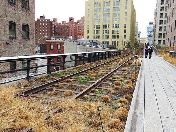 Caminhei pelo High Line no fim do inverno, com o verde bem castigado pelo frio - Um dos 3 roteiros em Manhattan, New York - www.viajandocomaman.com.br - Foto: Amandina Morbeck.