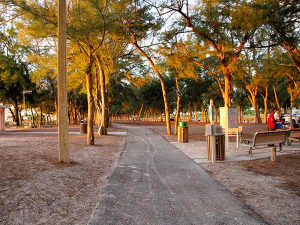 Área verde numa porção da praia de Longboat Key - www.viajandocomaman.com.br - Foto: Amandina Morbeck.