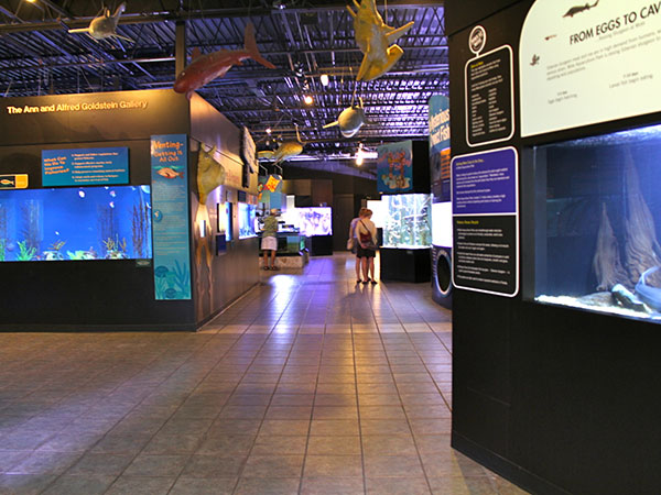 Uma das galerias do Moto Marine Aquarium - www.viajandocomaman.com.br - Foto: Amandina Morbeck.
