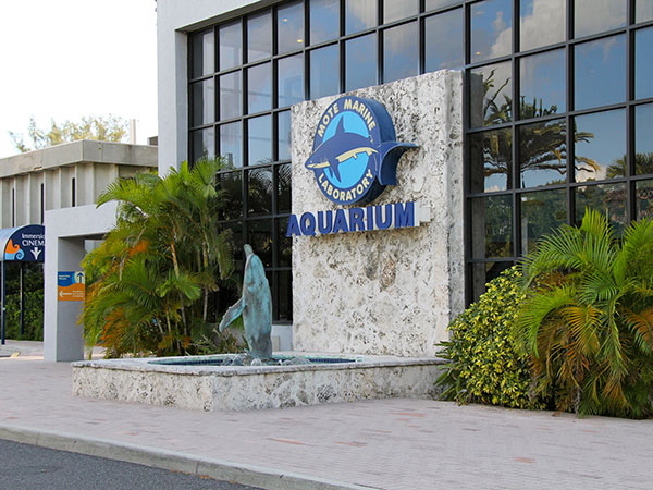 Entrada do Mote Marine Aquarium - www.viajandocomaman.com.br - Foto: Amandina Morbeck.