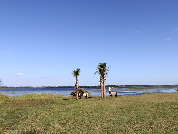 Lago formado pelo Rio Myakka, que dá nome ao parque - www.viajandocomaman.com.br - Foto: Amandina Morbeck.