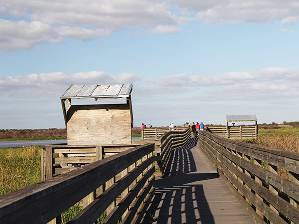 Birdwalk, para observação de aves, com vista para o lago - www.viajandocomaman.com.br - Foto: Amandina Morbeck.