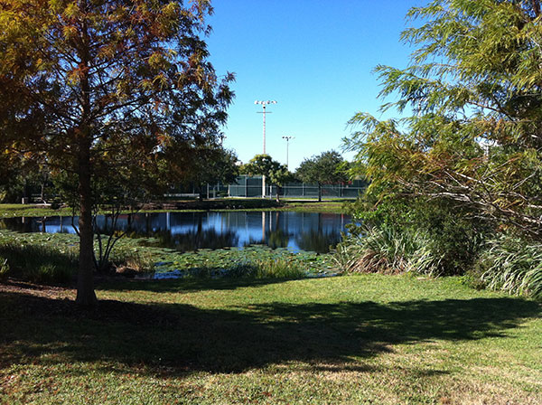 Payne Park, no centro de Sarasota, Flórida - www.viajandocomaman.com.br - Foto: Amandina Morbeck.