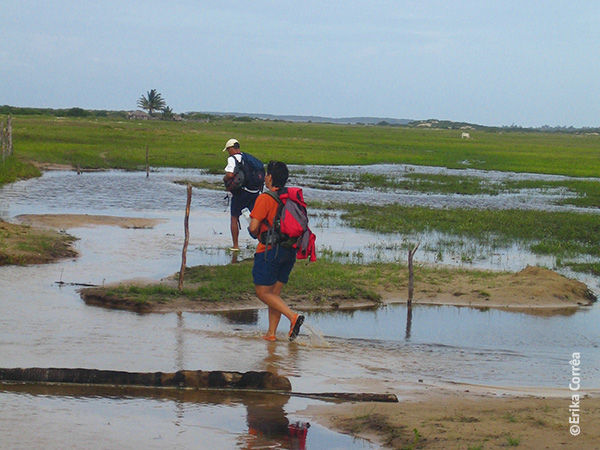 Poucos metros à frente, em Canto do Atins, a travessia dos Lençóis Maranhenses chegou ao fim - Foto: Erika Corrêa.