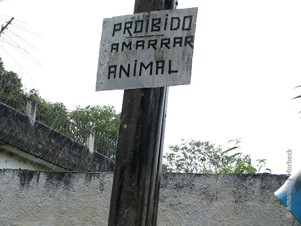 Placa indicando que é proibido amarrar animal no poste em Luminosa, Minas Gerais - Foto: Amandina Morbeck.