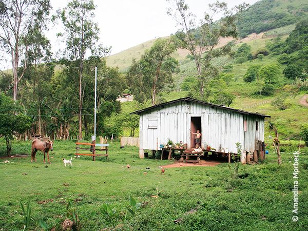 Uma casinha no campo em Luminosa, Minas Gerais - Foto: Amandina Morbeck.