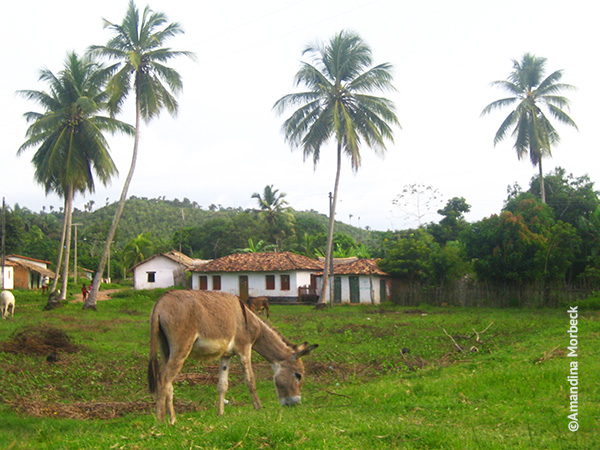 O Quilombo Itamatatiua fica a 60 km de Âlcantara - Foto: Amandina Morbeck.