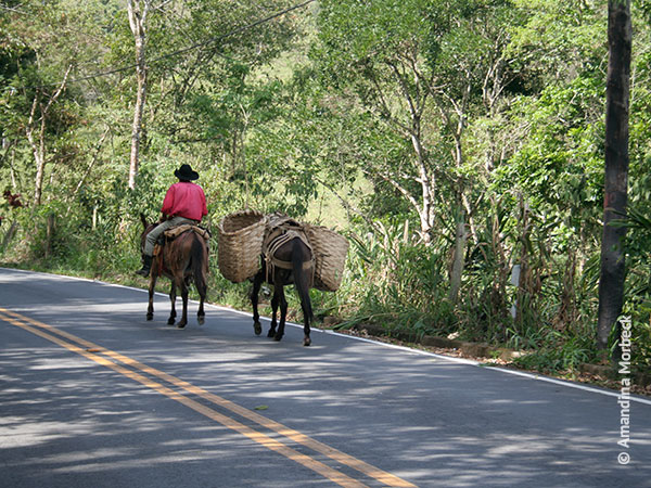 Cavaleiro na estrada em São Bento do Sapucaí - Foto: Amandina Morbeck.