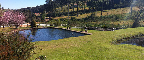 Trutaria Lago Azul - Foto: Amandina Morbeck.