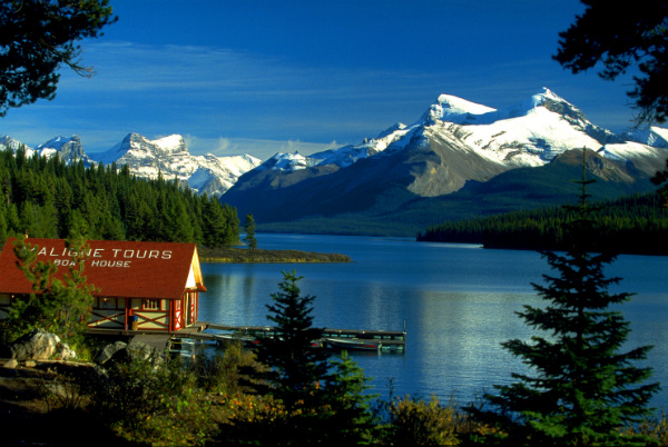Rota Border to Border - Parque Nacional Jasper - Foto: Reprodução/Wikipedia.
