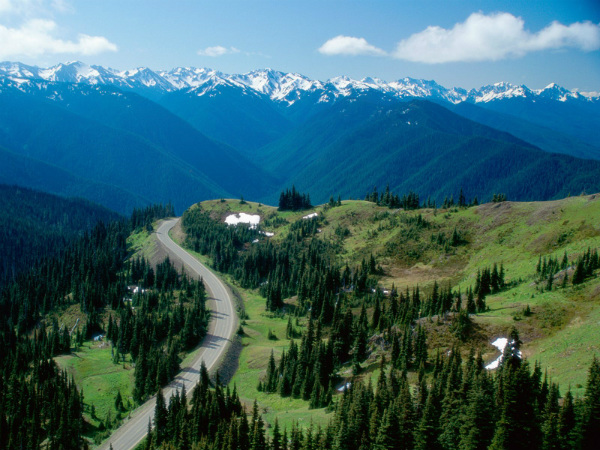 Na Pacific Coast - Olympia National Park, em Washington - Foto: Reprodução/BoomsBeat.
