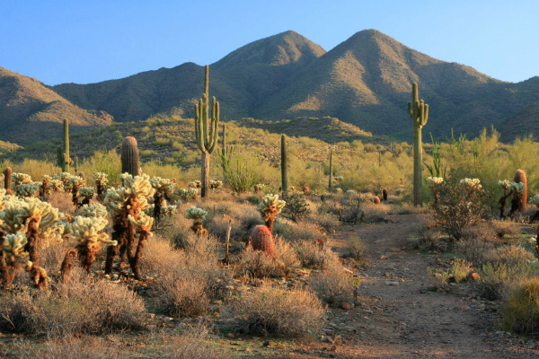 Rota Border to Border - Deserto de Sonora, Arizona - Foto: Reprodução/McDowell Conservancy.