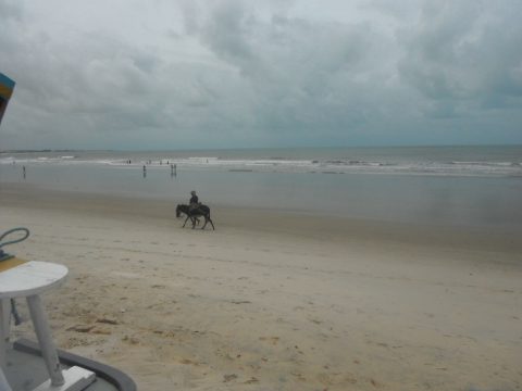 Praia de Genipabu - a caminho de São Miguel do Gostoso