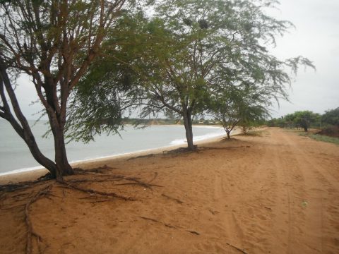 Praia de Tourinhos em São Miguel do Gostoso