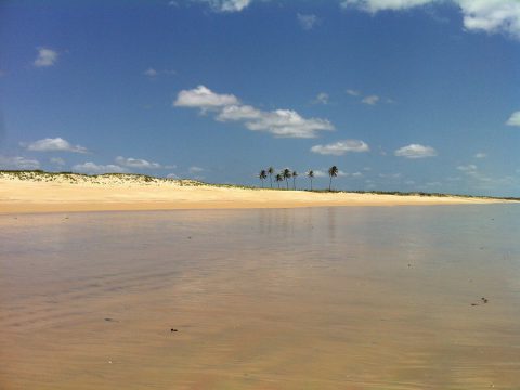 Praia do Maceió em São Miguel do Gostoso