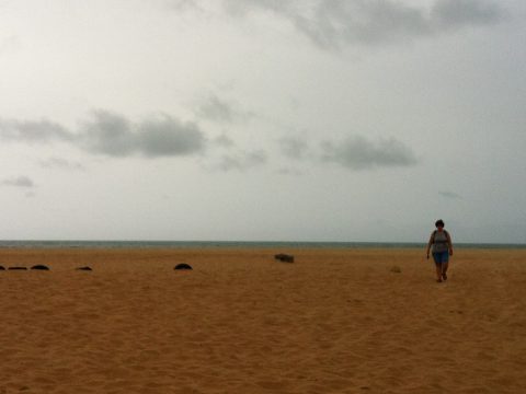 Praia do Cardeiro em São Miguel do Gostoso