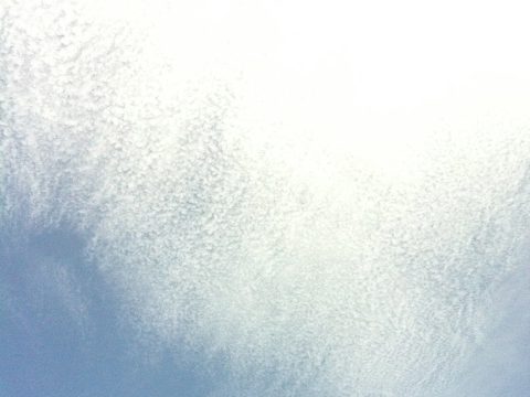Esse céu estava lindo na Praia do Maceió em São Miguel do Gostoso