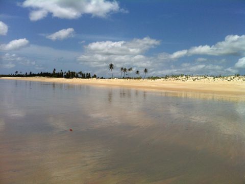 Praia do Maceió em São Miguel do Gostoso