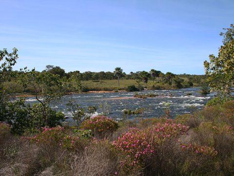 Rio Novo