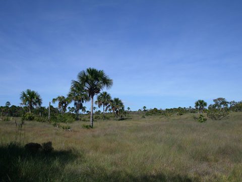 Paisagem do Jalapão