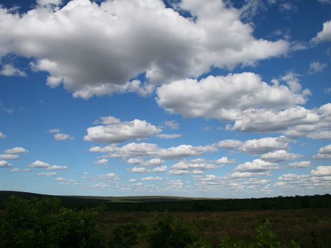 Paisagem do Jalapão