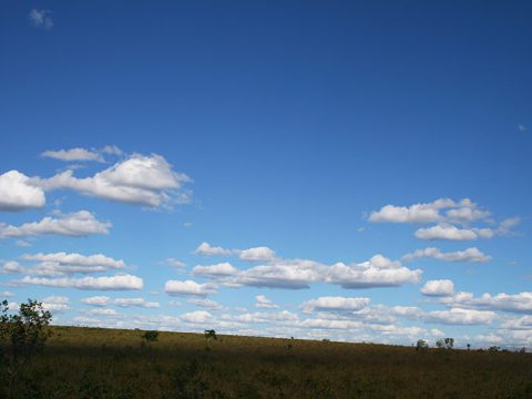 Paisagem do Jalapão
