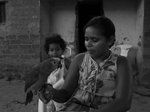 Meninas de Mateiros e seu papagaio