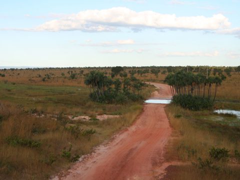 Estrada do Jalapão