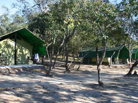 Acampamento