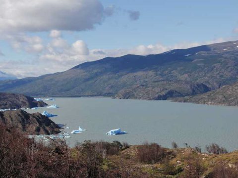Lago Grey, Torres del Paine